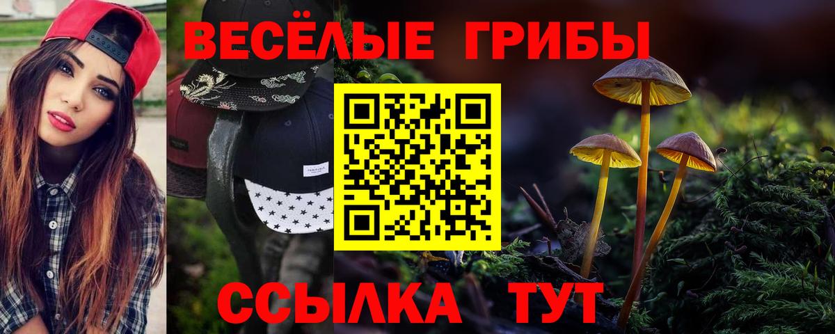 Галлюциногенные грибы ЛСД  Вход с VPN  Канск 